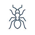 Gemini_Generated_Image_6jcv2u6jcv2u6jcv-Photoroom
