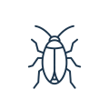 Gemini_Generated_Image_cqq5mscqq5mscqq5-Photoroom