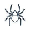 Gemini_Generated_Image_kp7drnkp7drnkp7d-Photoroom